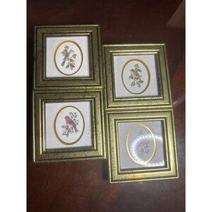 Set Of 4 Feathered Friends Bird-Themed Framed Prints 4" By Kathy Seek      46-87